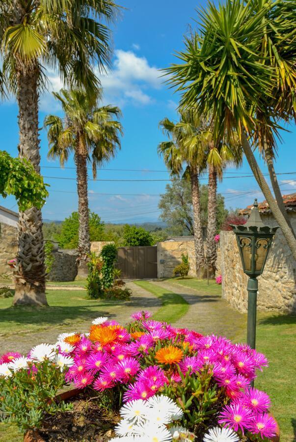 Casinha Do Eido Novo - Alojamento Local Valenca Dış mekan fotoğraf