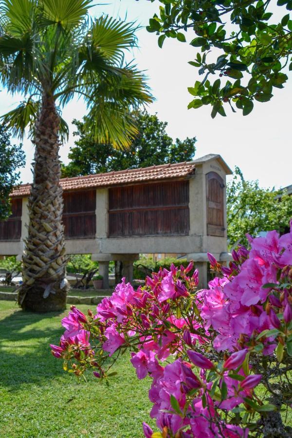 Casinha Do Eido Novo - Alojamento Local Valenca Dış mekan fotoğraf